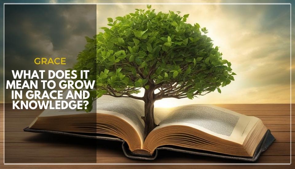 What Does It Mean To Grow In Grace and Knowledge?